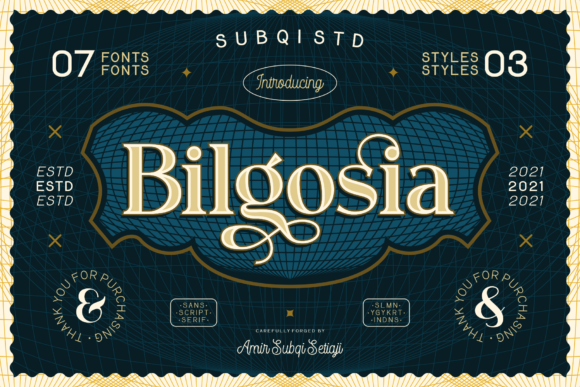 Bilgosia: A Stylish Serif Font for Business