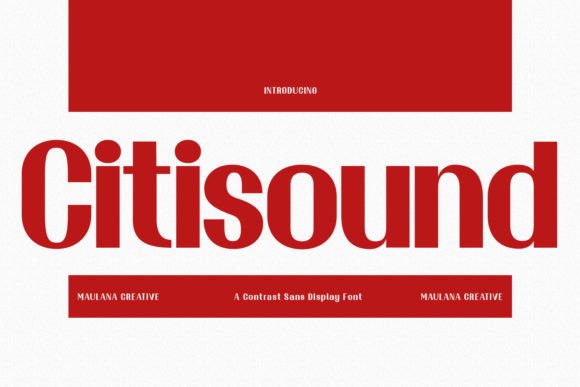 Citisound: A Professional Font for Small Businesses
