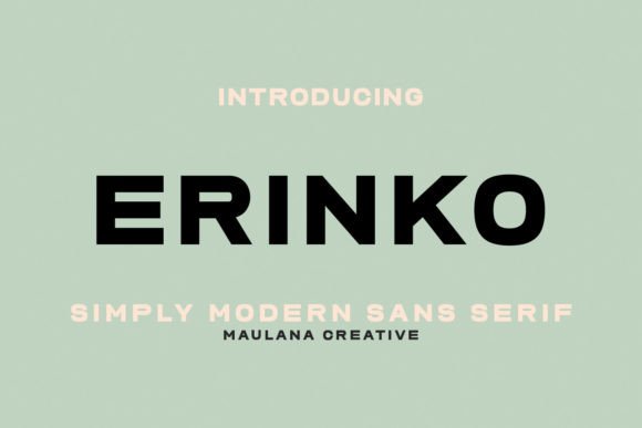Erinko: A Stylish Sans Serif for Modern Design