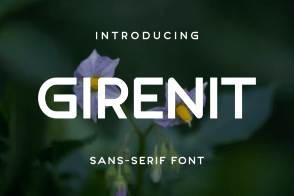 Girenit: A Font for Business Brilliance