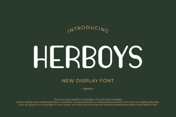 Herboys: A Modern Sans Serif for Web Design