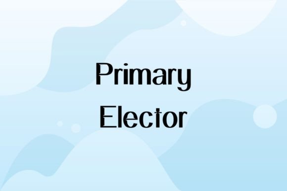 Primary Elector: A Warm Sans Serif for Creative Projects