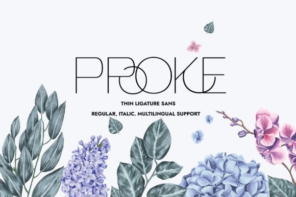 Proke: A Modern Sans Serif Review