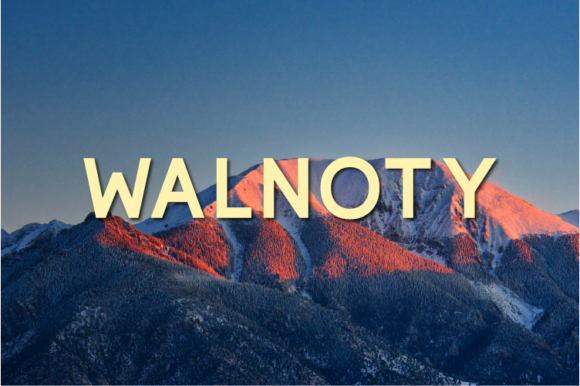 Walnoty: A Clean Sans Serif Font for Crafters