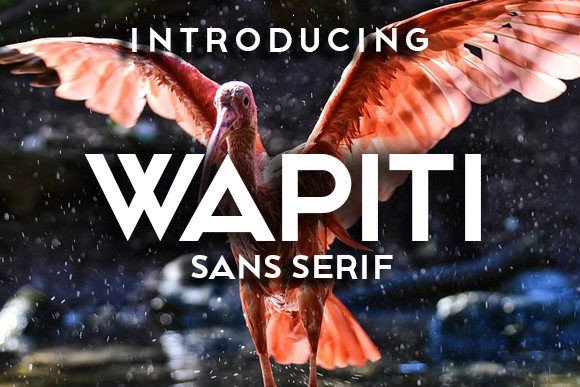 Wapiti: A Bold Sans Serif for Creative Projects